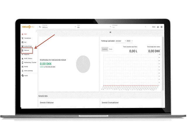 oversigt over betalte fakturaer
