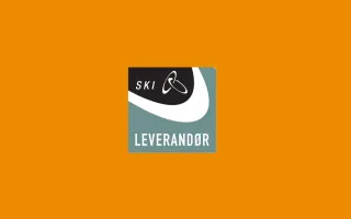 SKI Web Card Orange